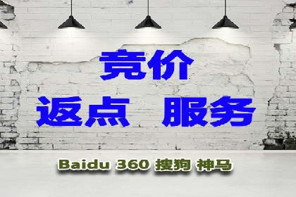百度推广中的数据监控与优化：案例分享与经验总结